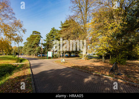 The entrance to Hadlow College, a land based college with entrance lined with trees, Hadlow, Kent, UK Stock Photo