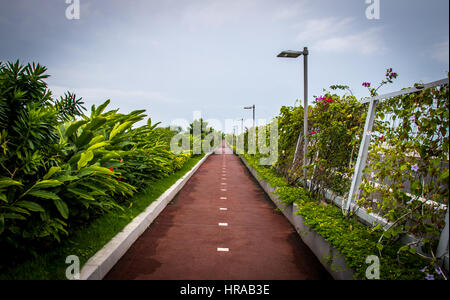 Bicycle lane and a jogging path surrounded by green in Cinta Costera - Panama City, Panama Stock Photo