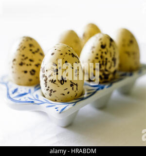 Eggs in a tray. Stock Photo