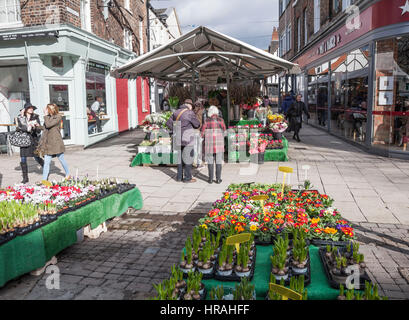 Shambles Market, York, England,UK Stock Photo