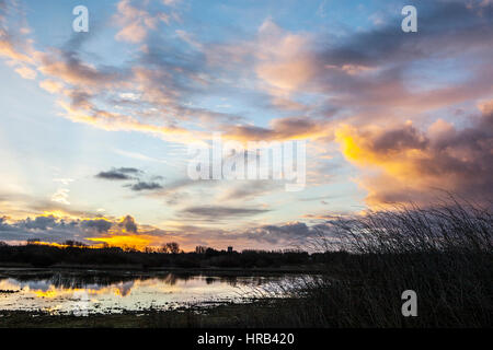 Southport, Merseyside, UK. 1st March, 2017. UK Weather. After a cold and wet day yesterday, a beautiful sunrise casts its warming rays over the wetlands of Southport's RSPB nature reserve. These naturally flooded areas provide perfect habitat for the thousands of migratory birds resting here over the winter months. Credit: Cernan Elias/Alamy Live News Stock Photo