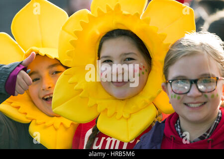 St David's Day celebrations as school children march through the town of Colwyn Bay, North Wales with welsh flags and daffodils Stock Photo