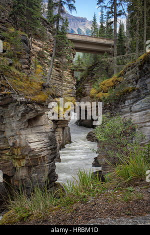 Water falling with power on the rocks of Maligne Canyon near Jasper NP, Canada Stock Photo
