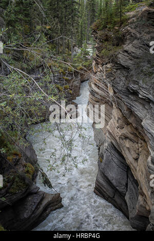 Water falling with power on the rocks of Maligne Canyon in Alberta ...