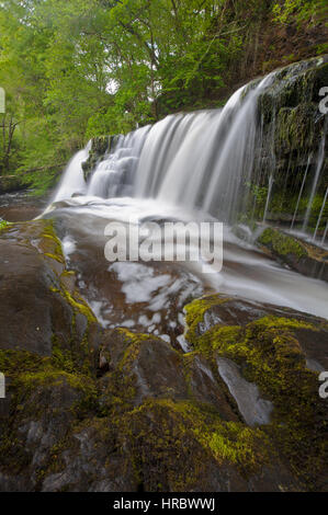 Sgwd yr Pannwr waterfall at Ystradfellte in the Brecon Beacons National Park. Wales, UK Stock Photo