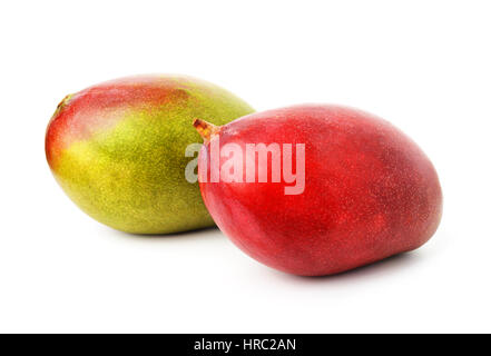 Fresh colorful tropical mangoes isolated on white background Stock Photo