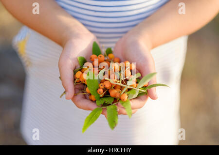 girl holding mountain ash berries in her hands close up Stock Photo