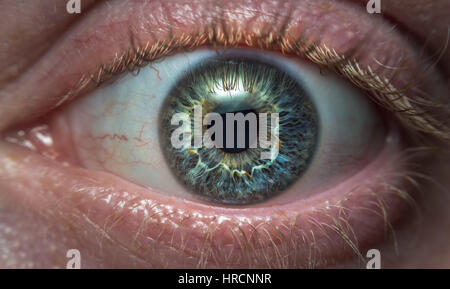 Extreme close up of the human eye