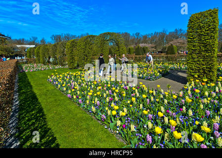 Flower beds, Keukenhof Flower Gardens, Lisse, Netherlands Stock Photo