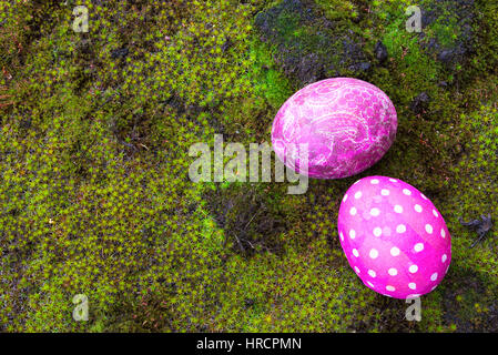 Directly above shot of Easter eggs on moss Stock Photo