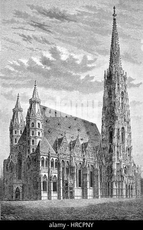 The St. Stephen's Cathedral  in Vienna, Austria, reproduction of an woodcut from the 19th century, 1885 Stock Photo