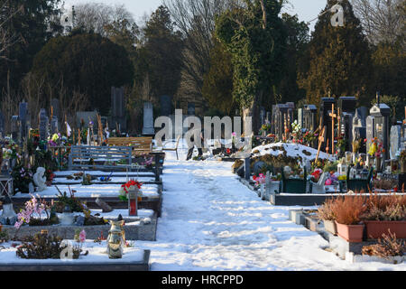 Wien, Vienna, Zentralfriedhof (Central Cemetery), man tending grave, 11. Simmering, Wien, Austria Stock Photo