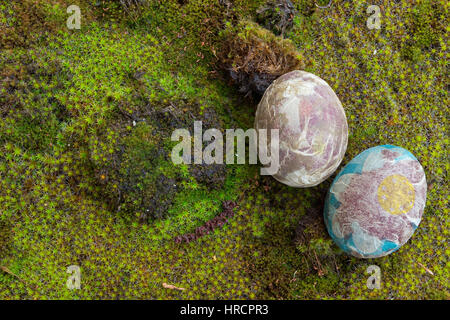 Easter eggs  laid on moss, overhead view Stock Photo