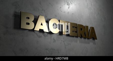 Bacteria - Gold sign mounted on glossy marble wall  - 3D rendered royalty free stock illustration. This image can be used for an online website banner Stock Photo