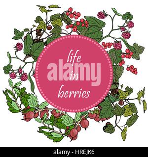 Set of garden berries and green twigs in circle badge, blackberry, raspberry, red currant, gooseberry. Retro style. For posters, decoration, labels Stock Vector