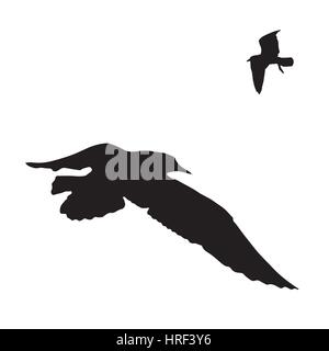 Vector set - seagull silhouette on white background collection Stock Vector