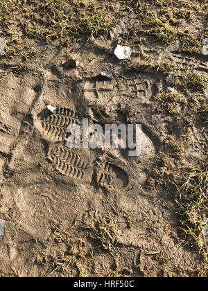 Bootprints in mud. Stock Photo