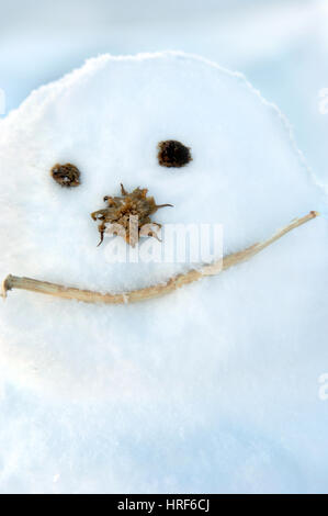 Closeup image of a snowman built with twigs and dried flowers.  All natural ingredients for an all natural snowman. Stock Photo