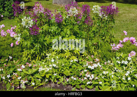 Curtain wall decorative flower plants in the Park Stock Photo