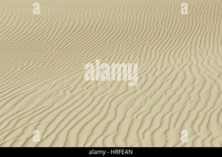 Wavy rippled desert or beach sand texture and background Stock Photo