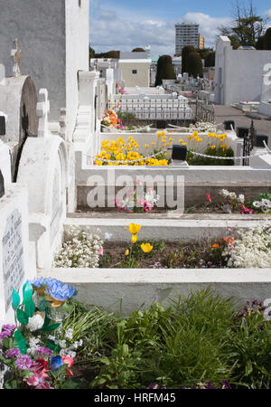Graves with flowers in Punta Arenas municipal cemetery Stock Photo