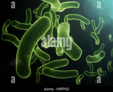 Bacteria cells high resolution science illustration Stock Photo