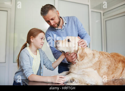 Father and daughter cheering up their labrador lying on table before medical check-up Stock Photo