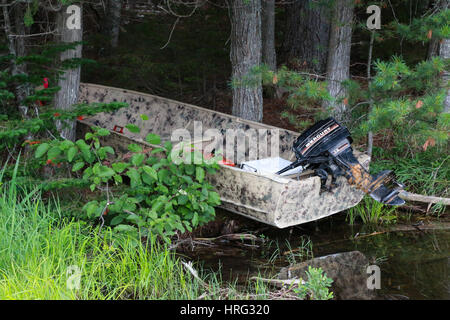 Skiff in the woods at Lily Bay State Park on the eastern shore of magnificent Moosehead Lake Stock Photo