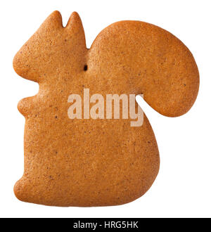 Gingerbread squirrel cookie isolated on white background. Top view Stock Photo