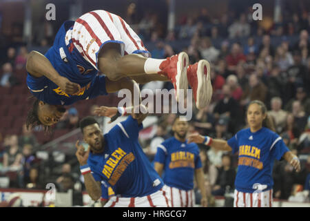 Calgary, Alberta, Canada. 1st Mar, 2017. Hammer Harrison of The Harlem Globe Trotters jumps and twists in the air before the start of a game in Calgary Credit: Baden Roth/ZUMA Wire/Alamy Live News Stock Photo