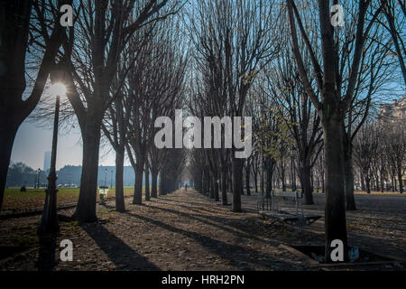 Early morning sun casts shadows through the trees at the side of the Esplanade des Invalides, Paris, France Stock Photo