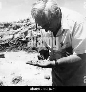 Louis Leakey, Kenyan Archeologist Stock Photo
