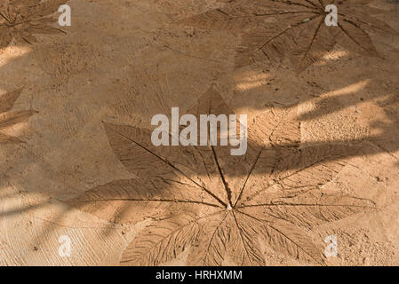 Texture of concrete stamp in leaf detail on the floor in the park, Background. Stock Photo