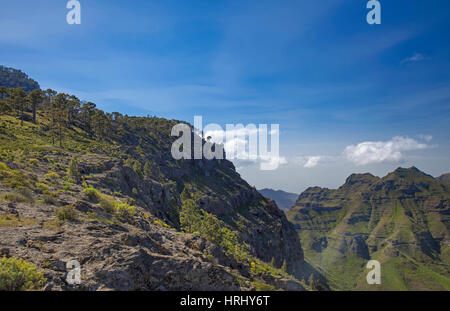 West Gran Canaria in February, hiking path through old pine forest around Integral Nature Reserve Inagua Stock Photo