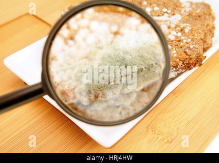 Schimmel am Brot unter der Lupe - mouldy bread under loupe, Symbolfotos