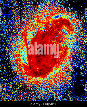 Cartwheel Galaxy, ESO 350-40 Stock Photo - Alamy