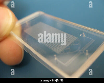 Bacteria Research, Microfluidic Chip Stock Photo