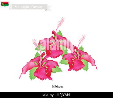 Vanuatu Flower, Illustration of Hibiscus Flowers. The National Flower of Vanuatu. Stock Vector