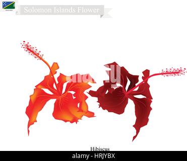 Solomon Flower, Illustration of Hibiscus Flowers. The National Flower of Solomon Islands. Stock Vector