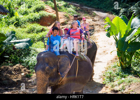 Thailand, Phuket - 19 February 2017 : Elephant trekking through jungle in Thailand Stock Photo
