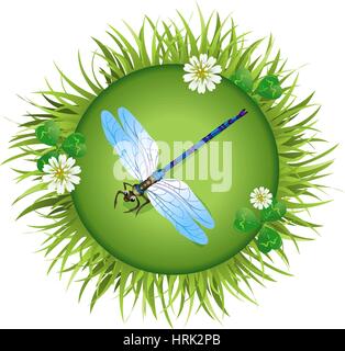 Insects and summer nature icon. dragonfly sitting on a meadow Stock Vector