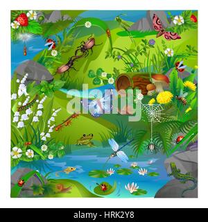 vector illustration of summer life in the forest insects. Images of dragonflies, ladybirds, ants, butterfly, grasshopper, snail, spider, bee and frog  Stock Vector