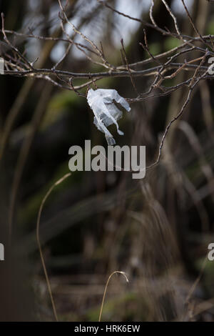 Littering Loch Lomond Stock Photo