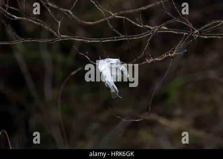 Littering Loch Lomond Stock Photo