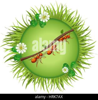 Insects and summer nature icon. Ants are pulling straws Stock Vector