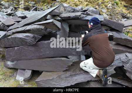 Man photographing piles of waste slate at Valentia Island quarry, County Kerry, Ireland Stock Photo