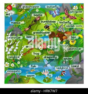 vector illustration of summer life in the forest insects with inscriptions. Images on the background of the nature in the woods Stock Vector