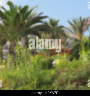 Blurred summer background with palms Stock Vector