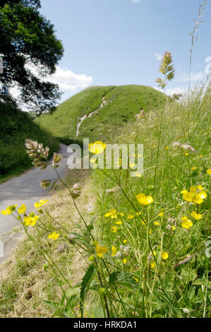 Castle Hill a medieval motte constructed within reinforced iron age ramparts of a hill fort in Thetford, Norfolk, UK. Stock Photo