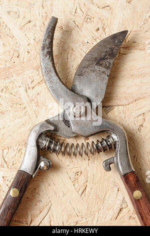 old pruning scissors isolated on wooden desk Stock Photo